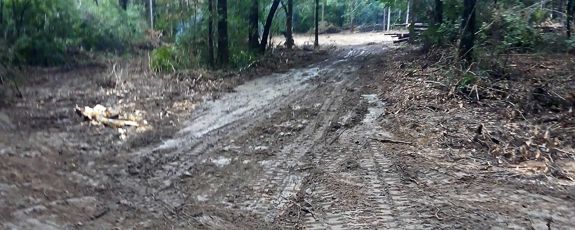 Land Clearing Service Florida