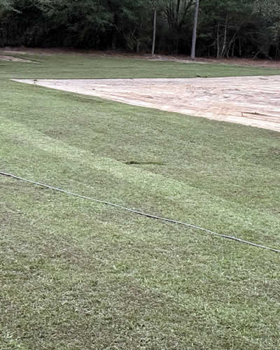 Landscaping, Sod Installation & Mulching