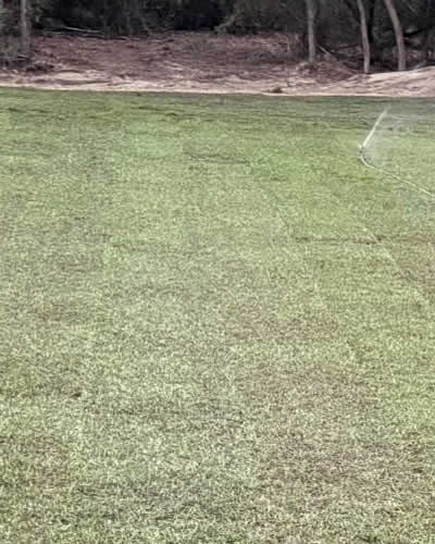 Landscaping and Sod Installation Services