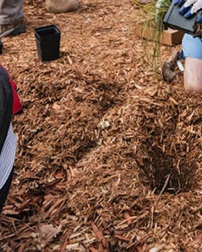 Natural Weed Prevention