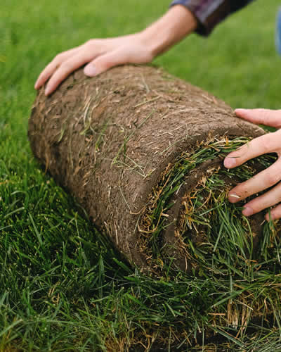 New Sod Installation for Beautiful Lawns