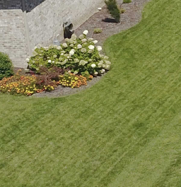 New Sod Installation Service