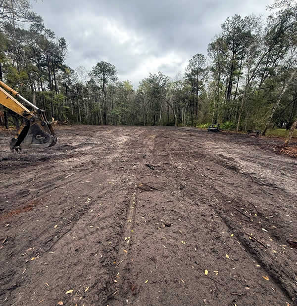 Professional Land Clearing and Grading Services FL